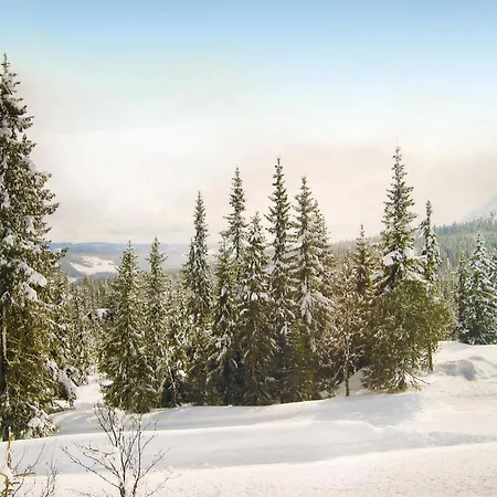 度假居 In Trysil With 3 Bedrooms, Sauna And Wifi *